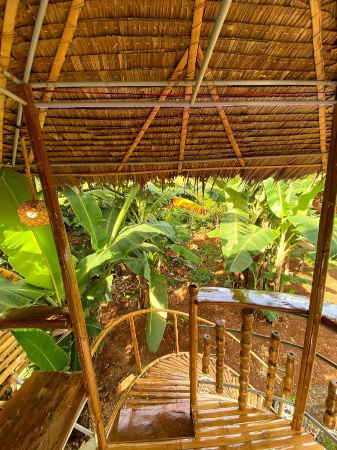 Villa Adorable Dome House Puerto Princesa Esterno foto